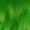 Bella Wig - Lime